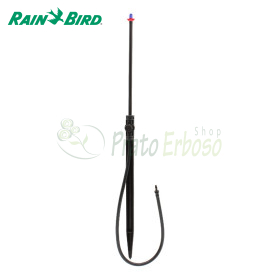 Jet spike 310-180 - Spruzzatore a 180 gradi su picchetto