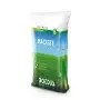Maciste - 5 kg lawn seeds