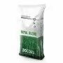 Mezcla Real - 10 kg de semillas para césped