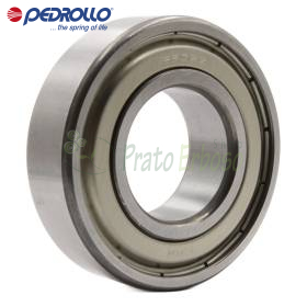 6205 ZZ - Rulment cu bile 25x52x15 mm Pedrollo - 1