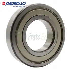 6208 ZZ-C3 - Kushineta topash 40x80x18 mm Pedrollo - 1