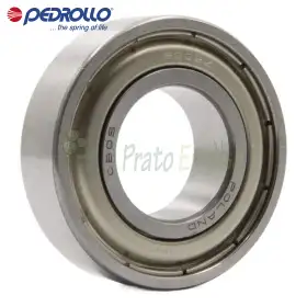 6003 ZZ-C3 - Rulment cu bile 17x35x10 mm Pedrollo - 1