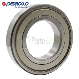 6212 ZZ-C3 - Rulment cu bile 60x110x22 mm Pedrollo - 1