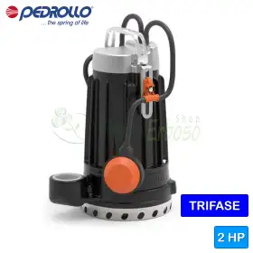 DC 42 - 2 PS dreiphasige Elektropumpe aus Gusseisen für klares Wasser