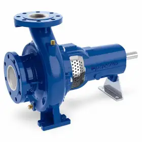FG2-50/250C - Pompă centrifugă standardizată cu suport Pedrollo - 1