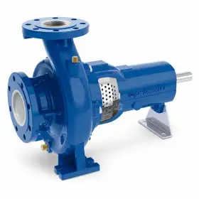 Pompa centrifuga FG2-65/125B Pedrollo - uso civile, industriale e agricolo Pompa centrifuga FG2-65/125B Pedrollo - uso civile, industriale e agricolo