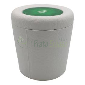 Urna Bios Pets Ponderosa Pine - urna biodegradabile per animali