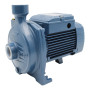 Pompë elektrike centrifugale me një fazë CPm 100 - 0.33 HP