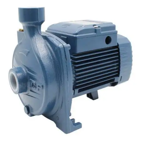 CPm 100 - 0.33 HP single-phase centrifugal electric pump Pedrollo - 1