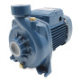 NGA 1A - Pompă electrică centrifugă trifazată cu rotor deschis de 1 CP