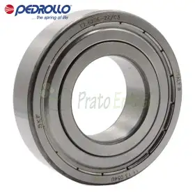 6206 2RS-C3E - Kushineta me sfera 30x62x16 mm Pedrollo - 1
