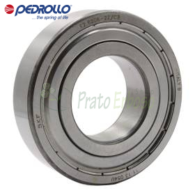 Roulement 6206 2RS-C3E Ø30x62x16 mm Pedrollo