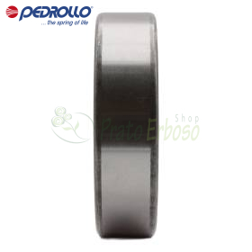 Roulement 6206 2RS-C3E Ø30x62x16 mm Pedrollo