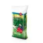 Forteprato - Sementi per prato da 1 kg Bottos - 2
