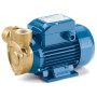PQm 80-Bs - 1 PS Einphasen-Elektropumpe mit peripherem Laufrad