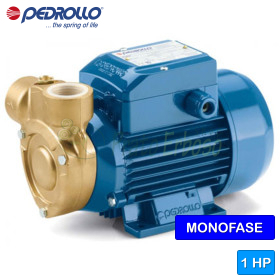 PQm 81-Bs - 0.75 HP single-phase peripheral impeller electric pump