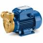 PQ 80-Bs - 1 PS dreiphasige elektrische Peripherielaufradpumpe