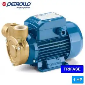 PQm 81-Bs – Elektropumpe mit einphasigem Peripherallaufrad mit 0,75 PS