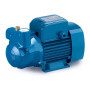 CKRm 100 - 1 HP single-phase self-priming liquid ring electric pump