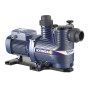 MAGNIFICA 1R - Pompe de piscine électrique triphasée 0,60 CV