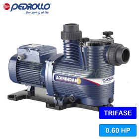 MAGNIFICA 1m - Bomba eléctrica para piscina monofásica de 0,75 CV