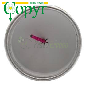 Insecticide fumigène Copyr Smoke - 60 g Copyr - 1