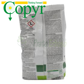 Sprin Polvere - Pudră insecticid Copyr - 1