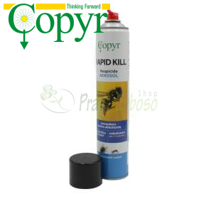 Aérosol insecticide à action rapide - 750 ml Copyr - 1