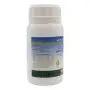 Water Plus - Agente surfattante ed umettante per prato da 250 g - Bottos
