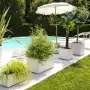 Jgheab Millennium R - ghiveci cu perle de 79 cm - Deroma