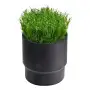 SOD CUP - mbajtëse sod