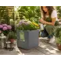 Millennium R Cube - Vaso a cassetta da 25 cm antracite