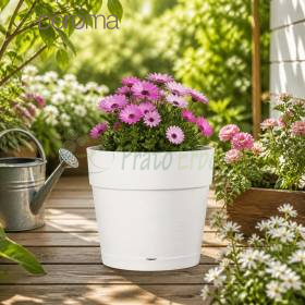 Sparen Sie den Topf – 24,5 cm weißer runder Topf (ANGEBOT)