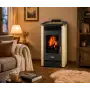 Dafne 65 - Stufa a pellet da 5.5 Kw beige