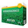 Iarbă Bermuda - OFERTĂ de semințe de gazon 500g