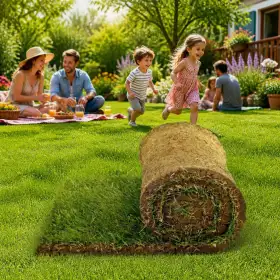 200 m2 of ready-made lawn in rolls Prato Erboso - 1