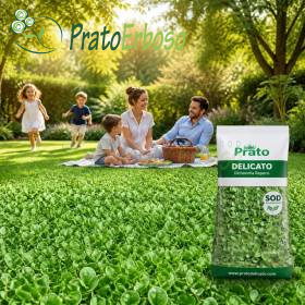 Lëndinë delikate Prato Erboso - 1