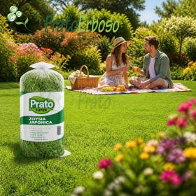 SUPER Pradera Prato Erboso - 1
