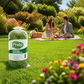 SUPER Pradera Prato Erboso - 1