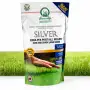 Silver - Sementi per prato da 1.2 kg