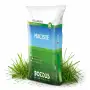 Maciste - 20 kg Rasensamen