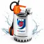 RXm 3 (5m) - 0.75 HP single-phase clear water pump