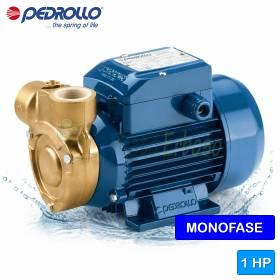 PQm 80-Bs - 1 PS Einphasen-Elektropumpe mit peripherem Laufrad Pedrollo - 1