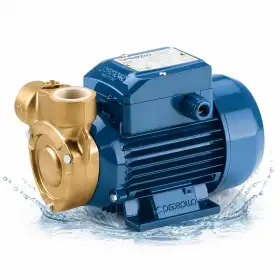 PQm 80-Bs - Pompe électrique monophasée de 1 CV avec turbine périphérique Pedrollo - 1
