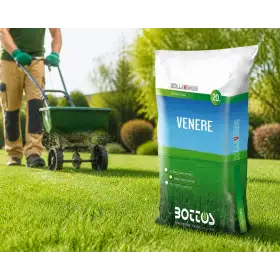 Venus - 20 kg Lawn Seed