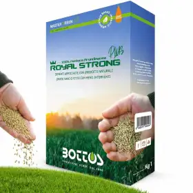 Semințe de gazon Royal Strong Plus - 1 kg