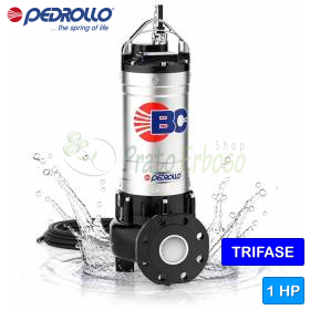 BC-4 - 1 HP single-phase DOUBLE-CHANNEL electric pump for waste water Pedrollo - 1