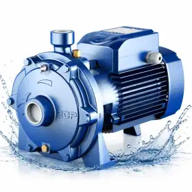 2CP 40/200A - 15 PS dreiphasige Doppellaufrad-Kreiselpumpe Pedrollo - 1