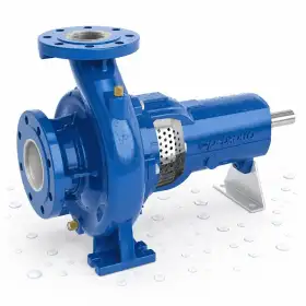 FG2-65/250B - Pompa centrifugale standarde | Pedrollo FG2-65/250B - Pompa centrifugale standarde | Pedrollo