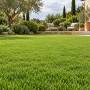 SUPER Pradera